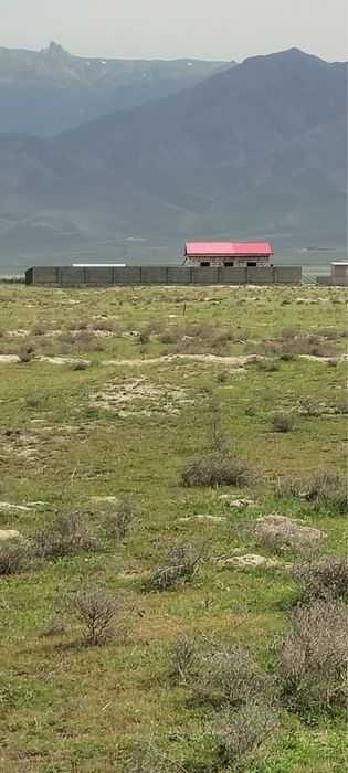 Дом с участком