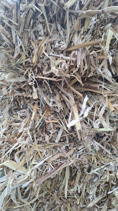 Vând baloți lucernă și coceni