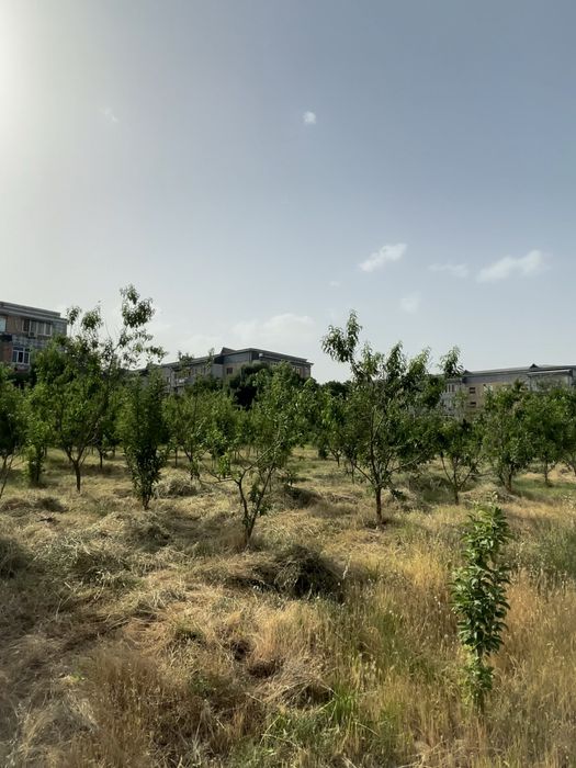 Продается земля со зданиями в Нурабаде (Ахангаран)