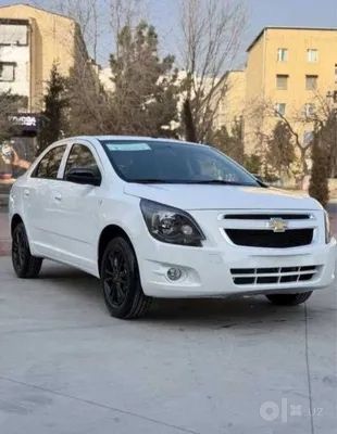 Cobalt 2026 midnight eng fulli