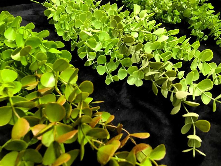 Висячие цветы ОПТОМ