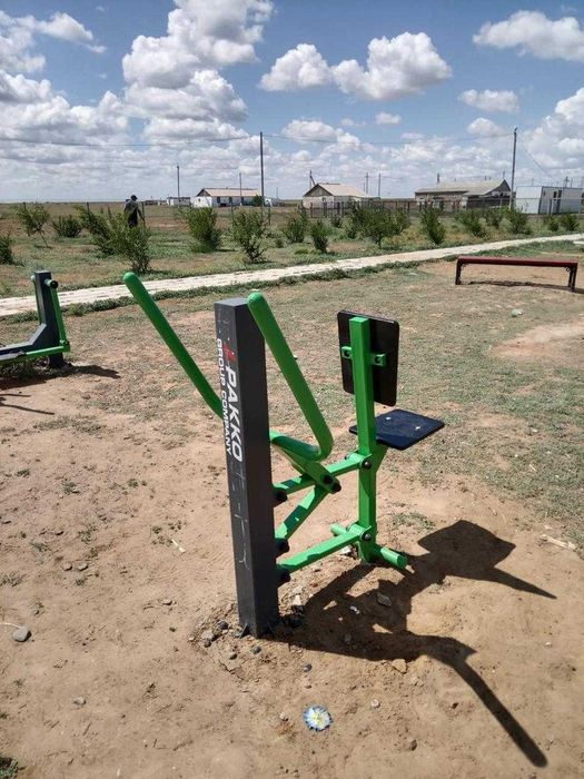 Уличный тренажер шагоход