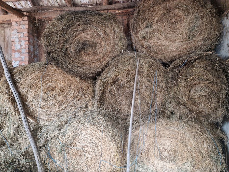 Vand baloti fan, otava, lucerna