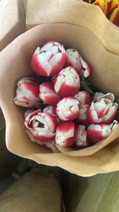 Тюлпаны по выгдной цене