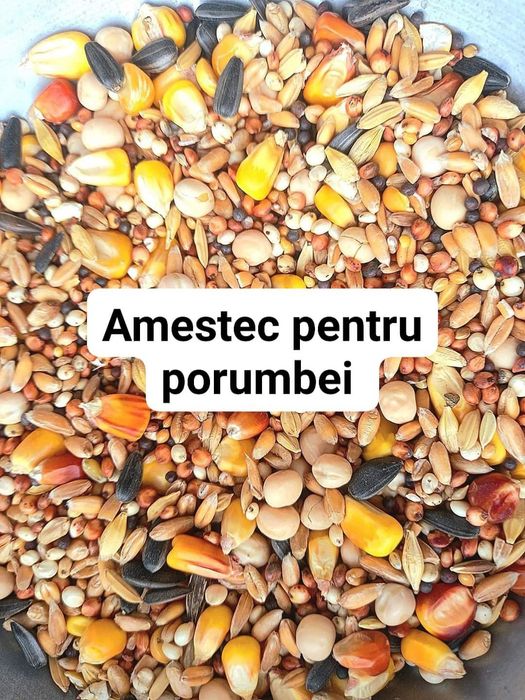 Amestec ptr porumbei