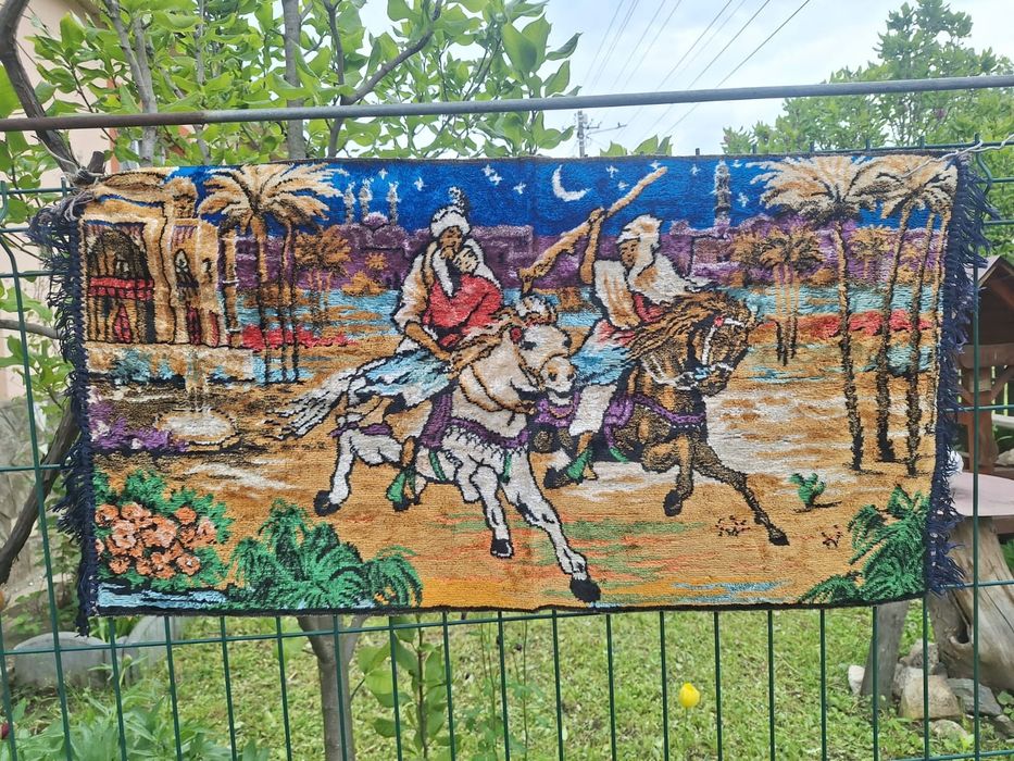 Carpeta Rapirea din Serai