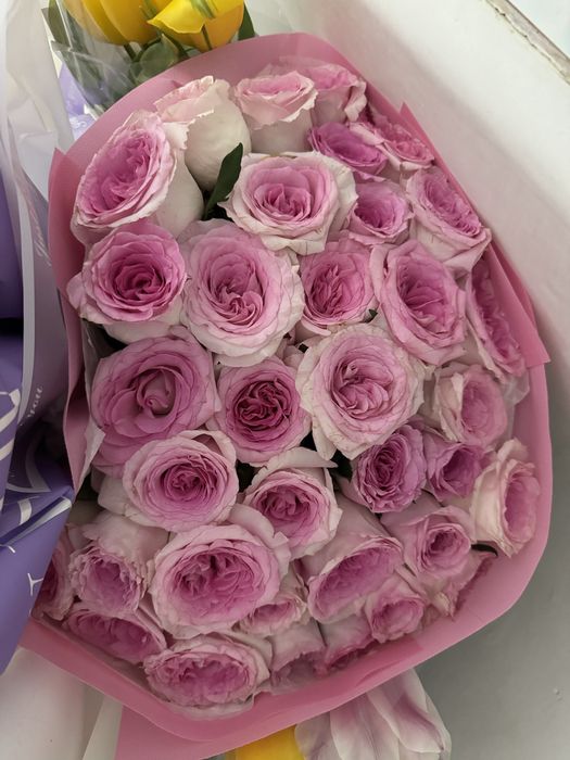 Продам цветыыыыыыыы