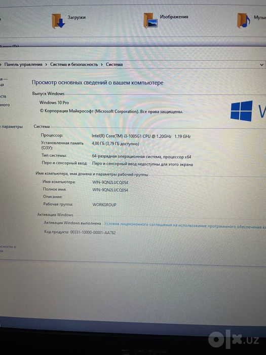 Acer xolati idel