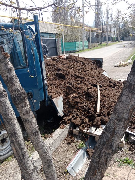 Навоз с доставкой.