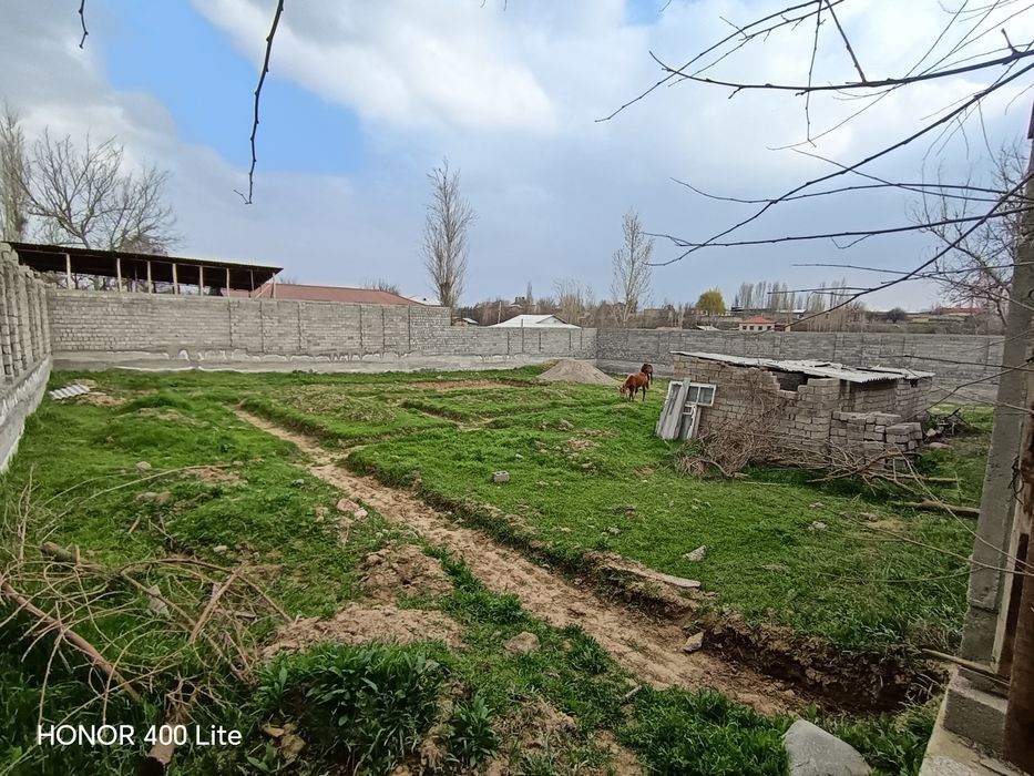 Yangi bozorda 10 sotix yer maydoni  sotiladi