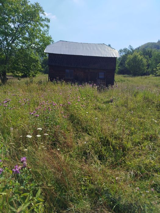 Vand Casa si Teren Sat Vadu Oii, Gura Teghii