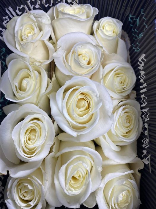 Тюльпаны и розы предзаказ