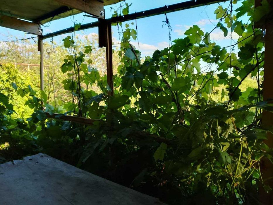 дачный участок с/к Олимпиец