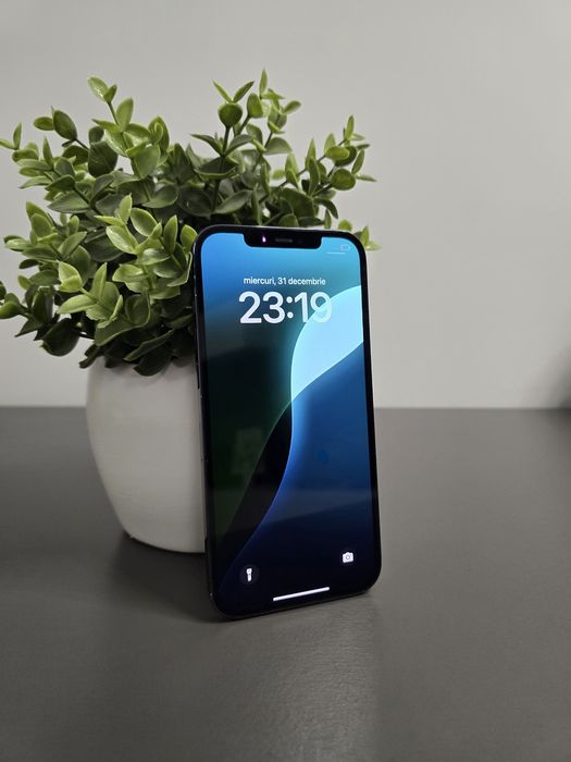 iPhone 12 Pro Max 512Gb