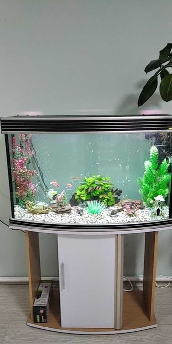 Чистка аквариумов