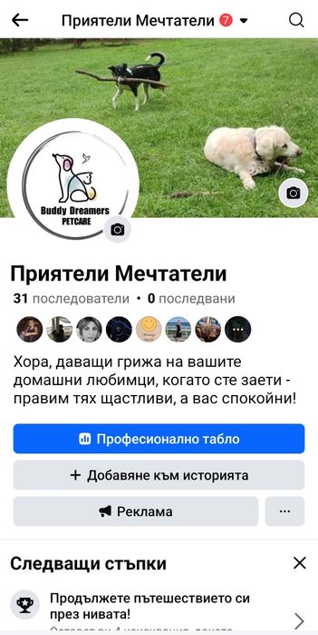 Разходка на кучета, грижи за котки и други домашни любимци. Цени.