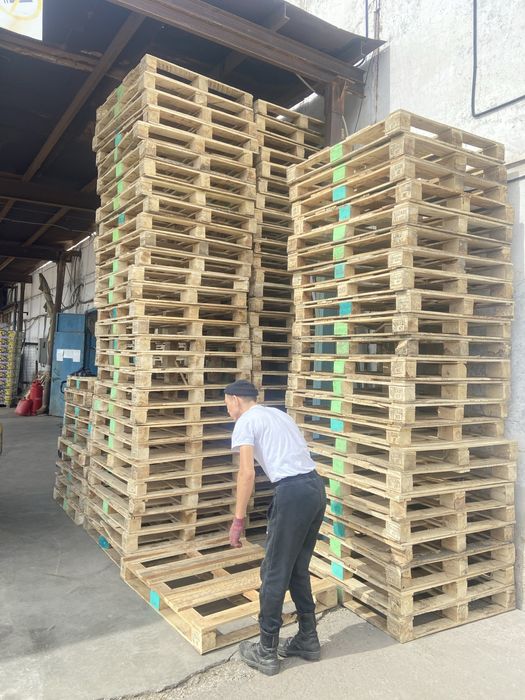 Поддоны Палеты продам