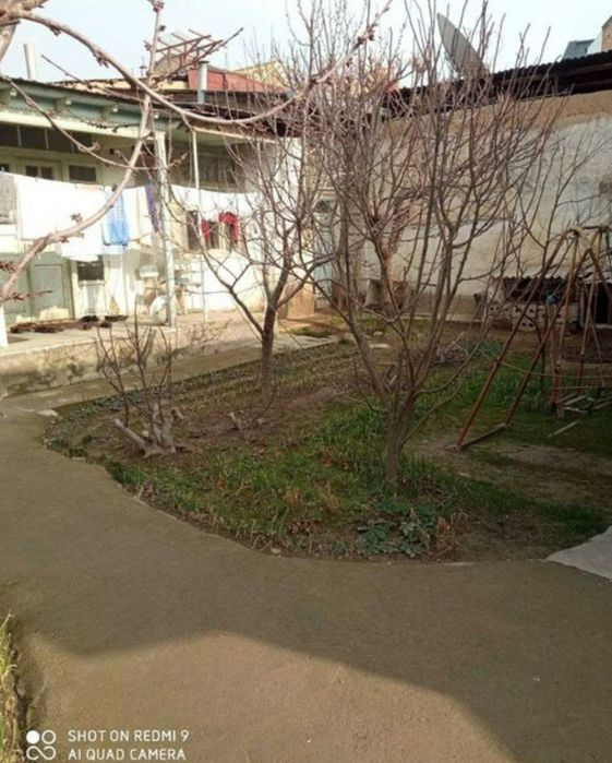 Юнусабадский бодомзор