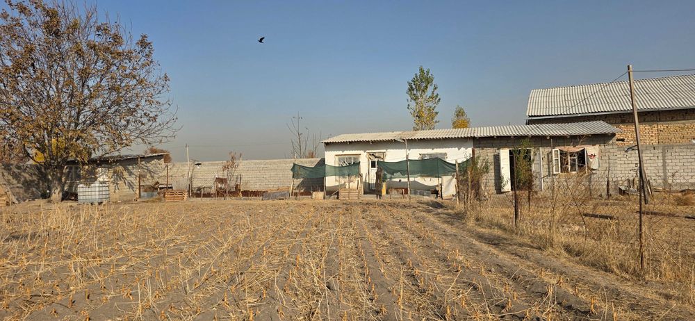 Продается база 39 соток возле поста Рохат 2-3 км. Идеально под склад!