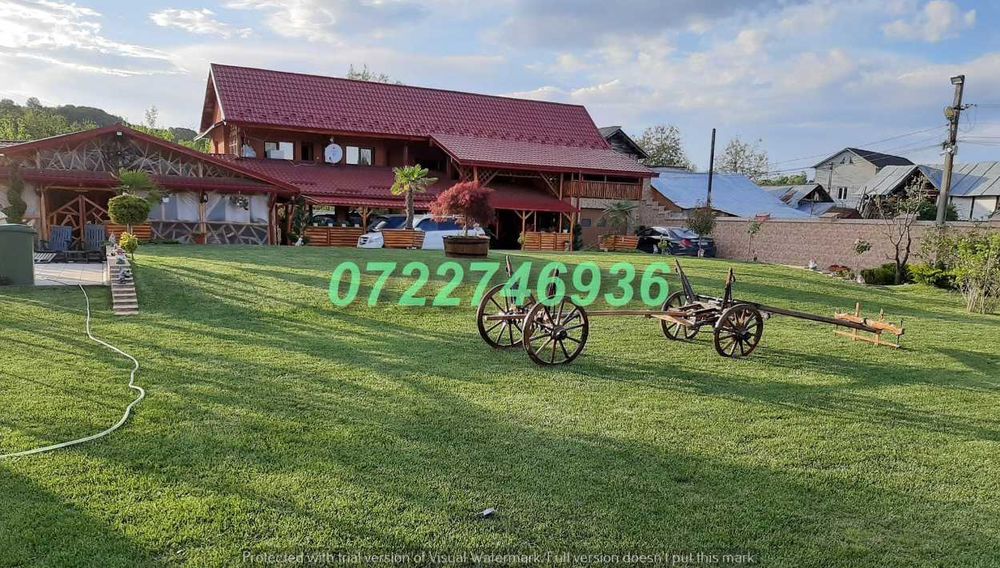 Gazon Premium Verde Intens cu Montaj Disponibil