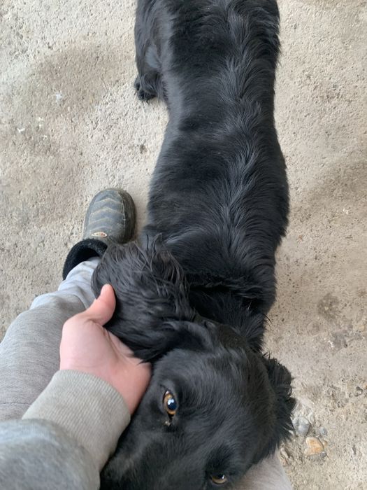 2 руский спанель