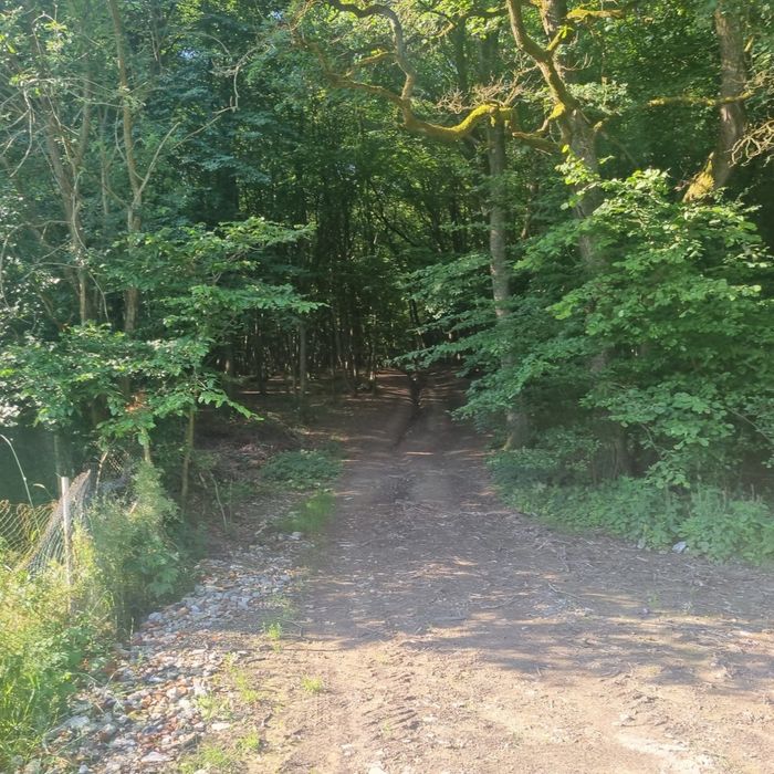 Teren extravilan, padure Zona Corunca Acățari