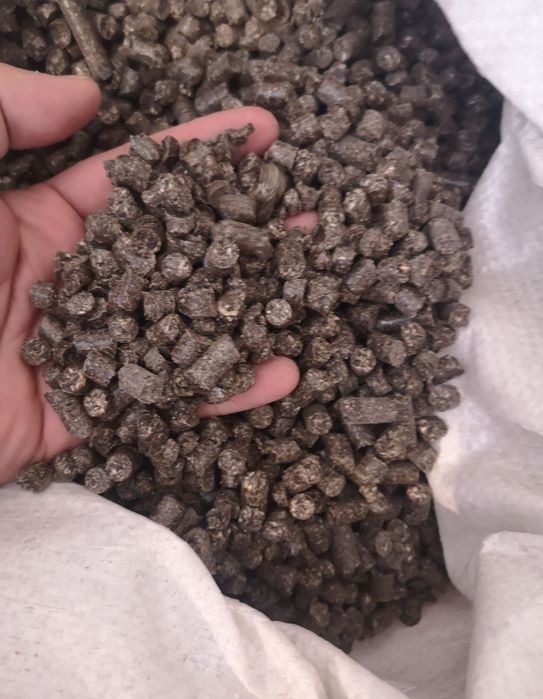 Прикормка для рыбалки