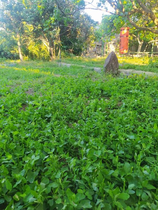 Продам хороший, жилой, теплый дом. Заозерка 218