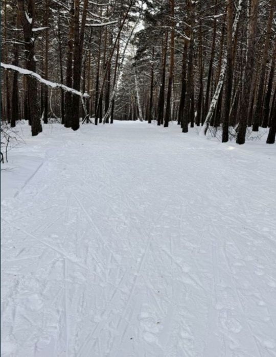 Сдам квартиру на природе