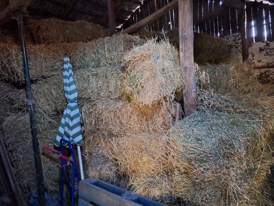 Baloti trifoi pastrati la adapost