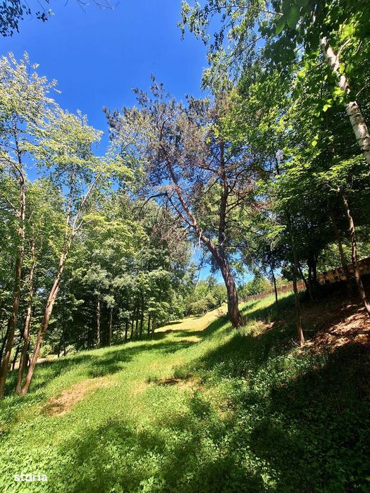 Teren intravilan de vânzare-3600 mp-Cisnadioara!
