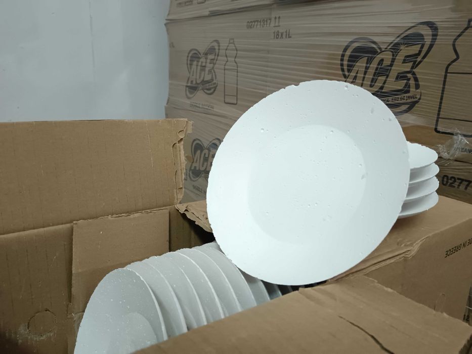 Гипсови чинии за чупене Ø18 см – 35 бр/кашон – 119 кашона