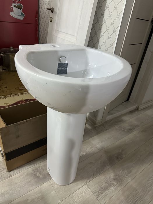 Раковина тюльпан