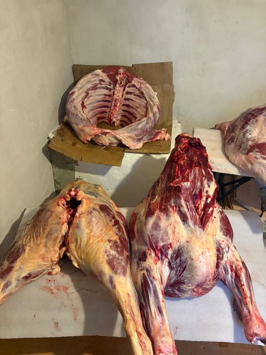 ет-мясо( конина)