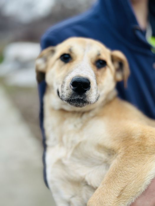 Звоночек девочка ищет семью