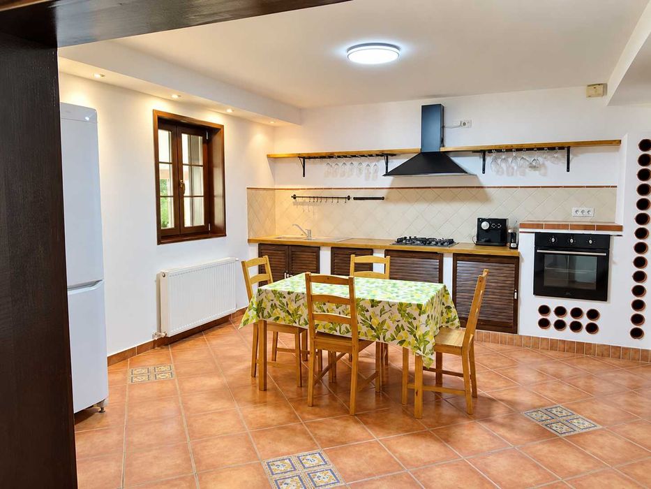 Proprietar inchriez casa In Sanmihaiu Roman| Fotovoltaice 6kw | 4 dormitoare | gradina tip oază de verdeață
