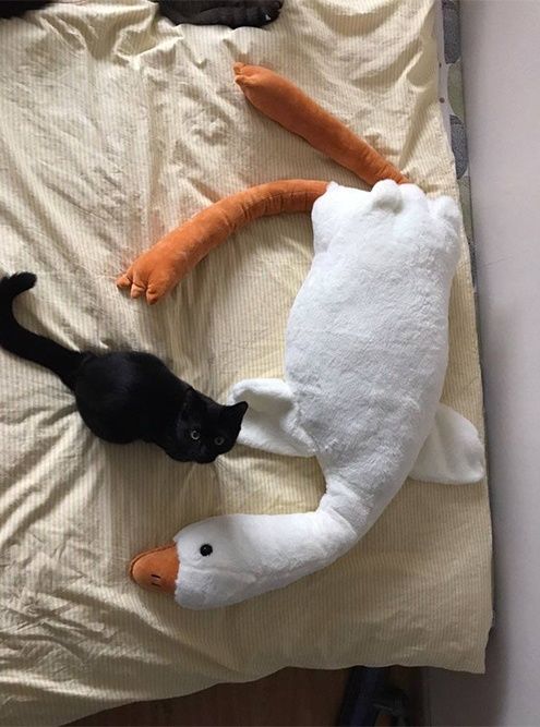 Плюшевый гусь обнимусь