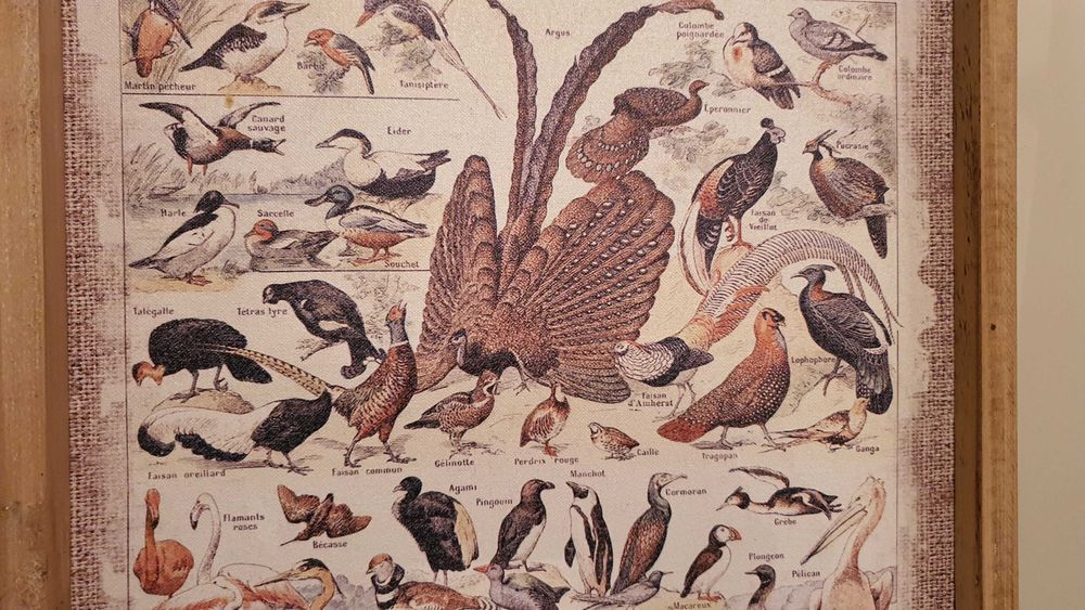 Фауна– Старинен ефект, дървена рамка, 60см/ 40см