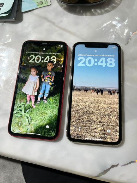 iPhone 11 + iPhone 11