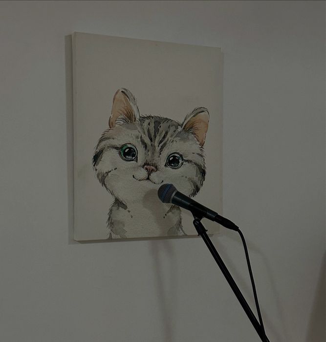 Lecții de canto/pian