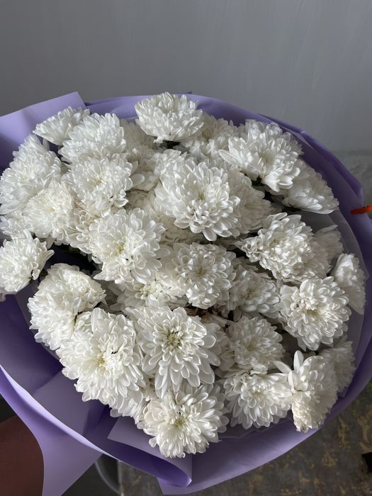 Продам цветы хорошая