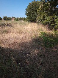 Парцел  1210кв.УПИ  от общо дворно място.