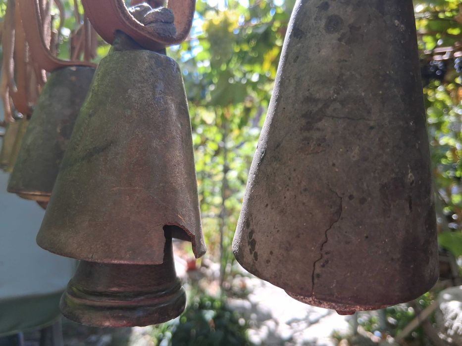 Звънци, Чан, Чанове