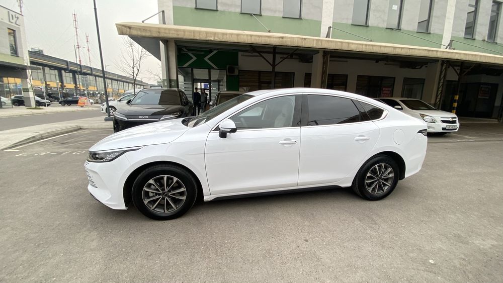 Byd chazor 2 poz 55 tali