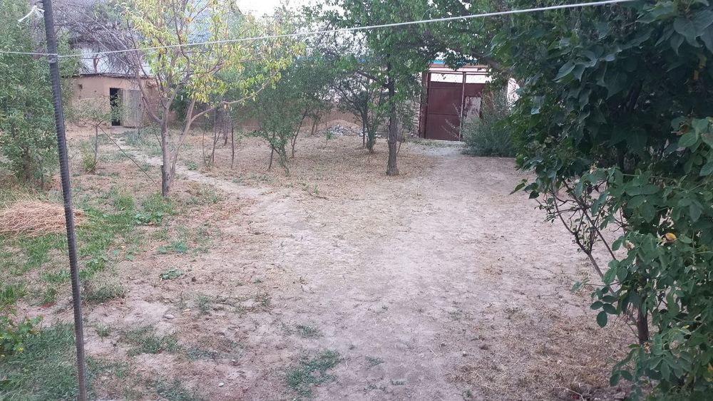 Hovli sotiladi 8 sotiq