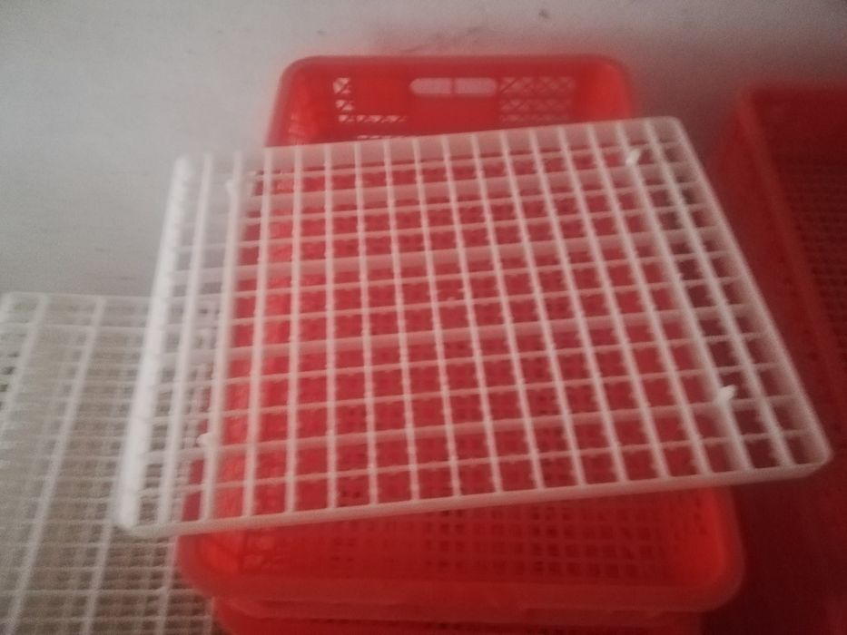 Инкубатор inqubator