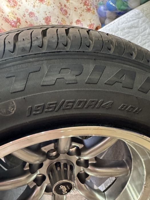 Диски Watanabe r14