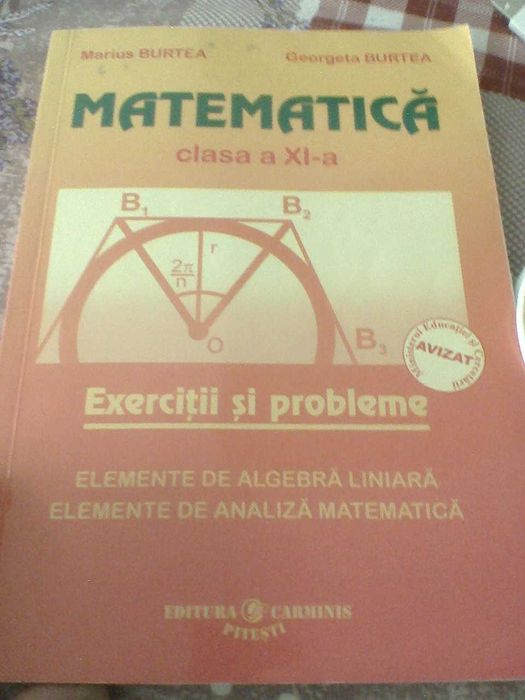 manuale si culegere matematica clasa XI-XII Ganga Burtea Schneider