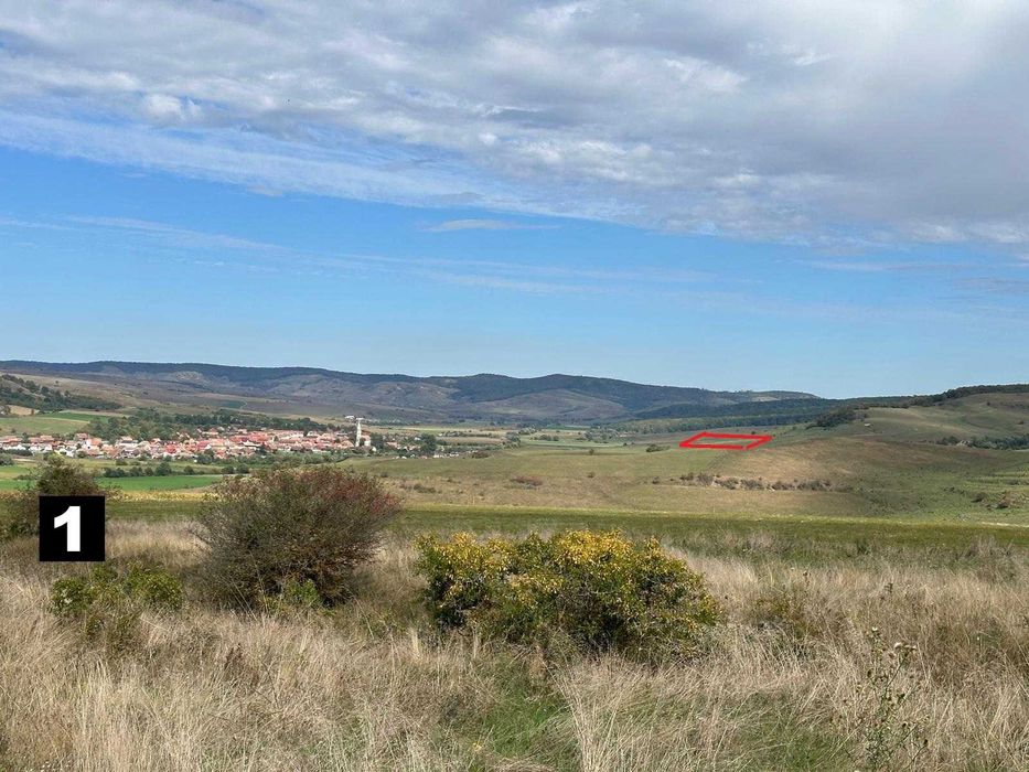 Vand 3 terenuri in Lovnic (sat sasesc, langa Viscri), jud Brasov = 11700mp  4Euro/mp