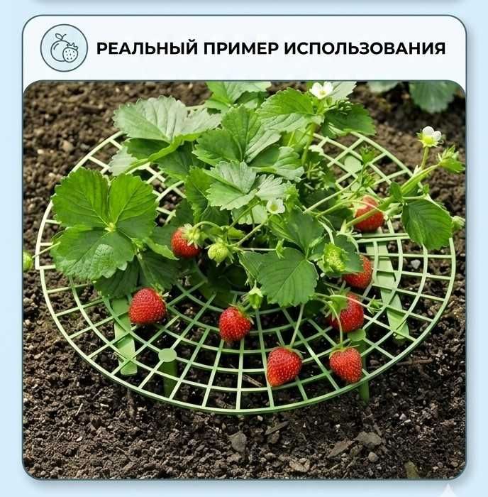 Подставки для клубники